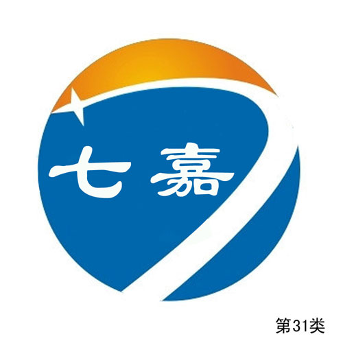 七嘉-第31類